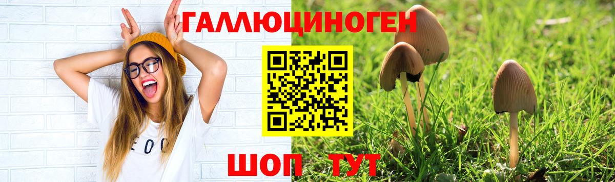 Псилоцибиновые грибы Psilocybe  Вход с VPN  Конаково 
