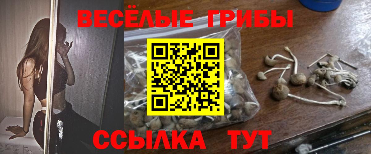 Галлюциногенные грибы ЛСД Конаково