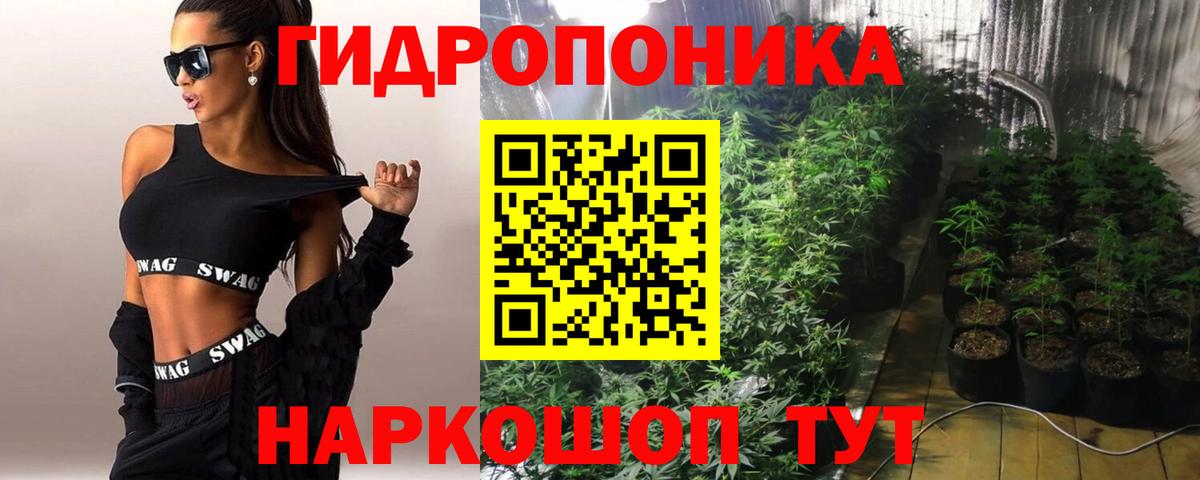 Канабис марихуана  Бошки марихуана конопля  Конаково  Вход с VPN 